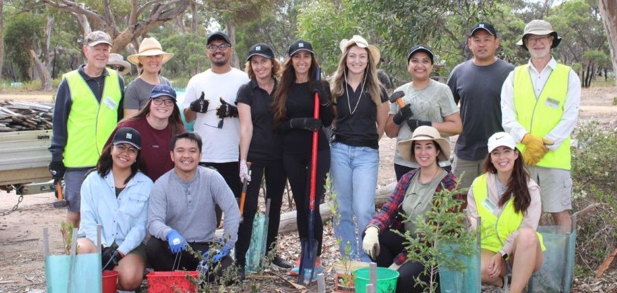 Volunteers at Taylor Park